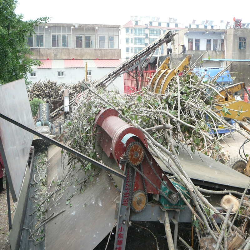 上海自动上料机--树枝
